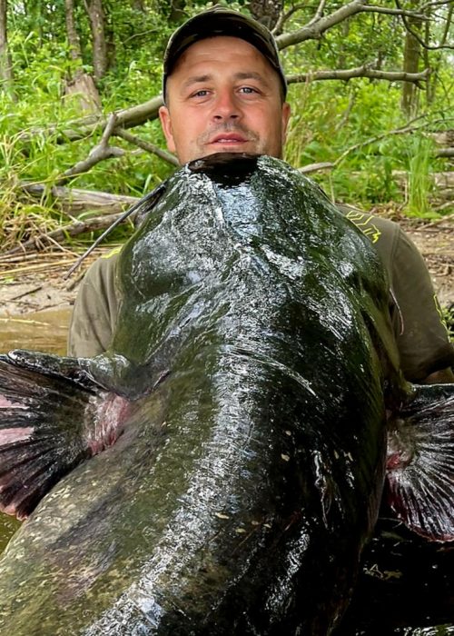 Ryba 245cm złowiona w Szczecinie